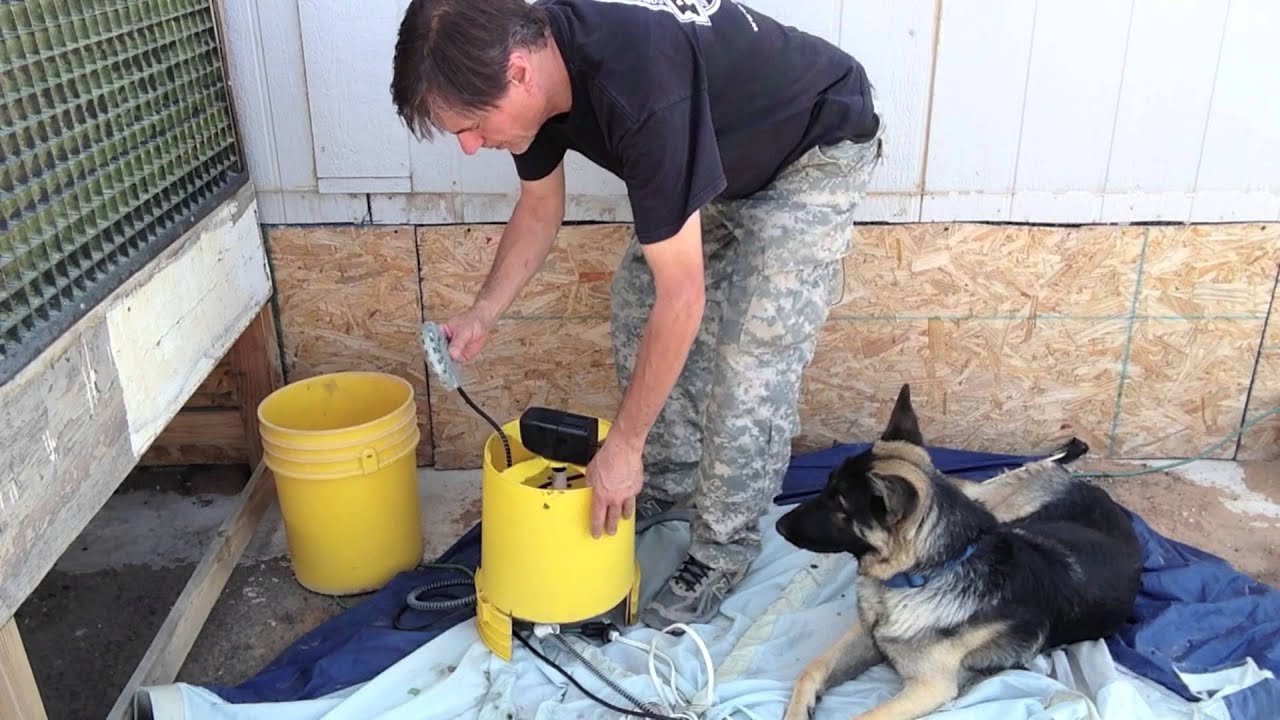 DIY Circulating Dog Water Bowl - YouTube