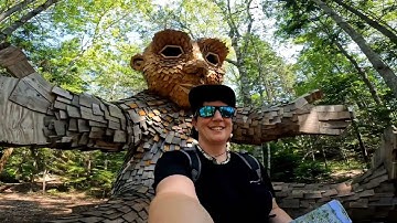 Giant Trolls in the Woods