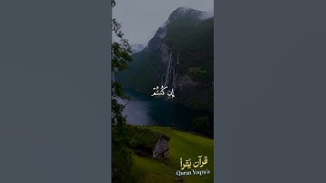 واشكروا نعمة الله #سورة_النحل #القرآن_الكريم #فارس_عباد #اكسبلور #راحة_نفسية #لايك #تلاوة_خاشعة
