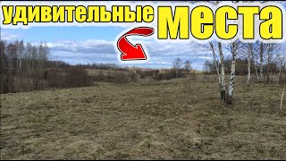 В старой деревне нашел овраг с удивительно крутыми и старыми находками.Коп старины с металоискателем