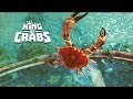 I AM THE KING OF ALL CRABS! - King of Crabs - BIG CRAB EAT LITTLE CRAB!