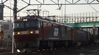 EH500-3牽引3085ﾚと前後の貨物列車　府中本町　2019/06/13