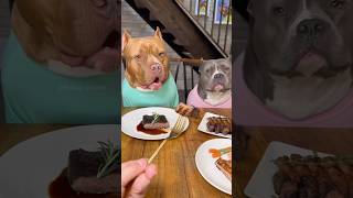 The Fine Dining Dogs #sora2 screenshot 3