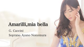 Amarilli mia bella / Ayano Nonomura  アマリッリ　野々村彩乃