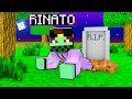 MARCY È RISORTO SU MINECRAFT