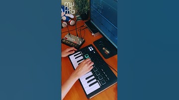 Hot Butter - Popcorn (Live Loop Cover) | Minilab 3 #volcabass #ableton #synthmusic