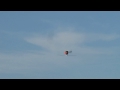 Align 450 Pro Flight 1