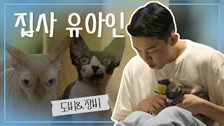 【유아인】 고양이 도비 & 장비 집사 유아인의 하루 YOO AH IN | 나혼자산다| TVPP