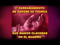 SUS MANOS CLAVADAS - 5º DERRAMAMIENTO DE SANGRE DE YESHUA