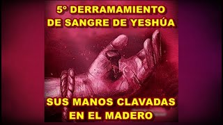 SUS MANOS CLAVADAS - 5º DERRAMAMIENTO DE SANGRE DE YESHUA