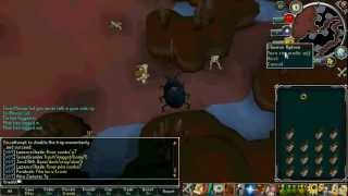 Trapping Giant Scarab