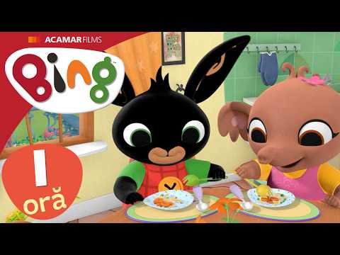 Bing Episoade Complete | 10 x Episoade | Bing România