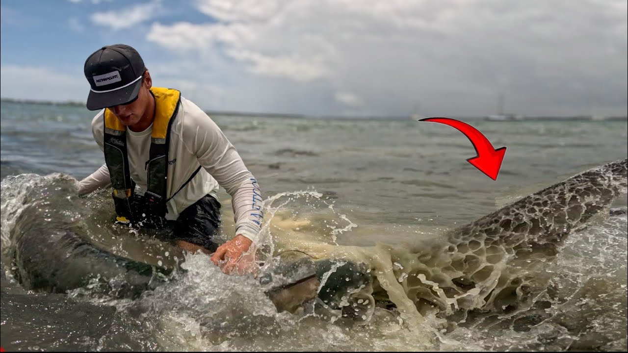Chasing the WORLDS BADDEST INSHORE FISH! - YouTube