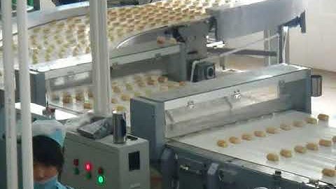Swiss roll type automatic feeding & packing line