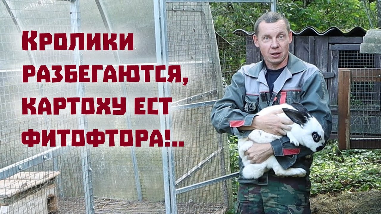 Деревенский блокнот последние 2024