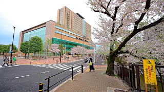 Afternoon walk through Itabashi-ku Tokyo, Japan • 4K HDR