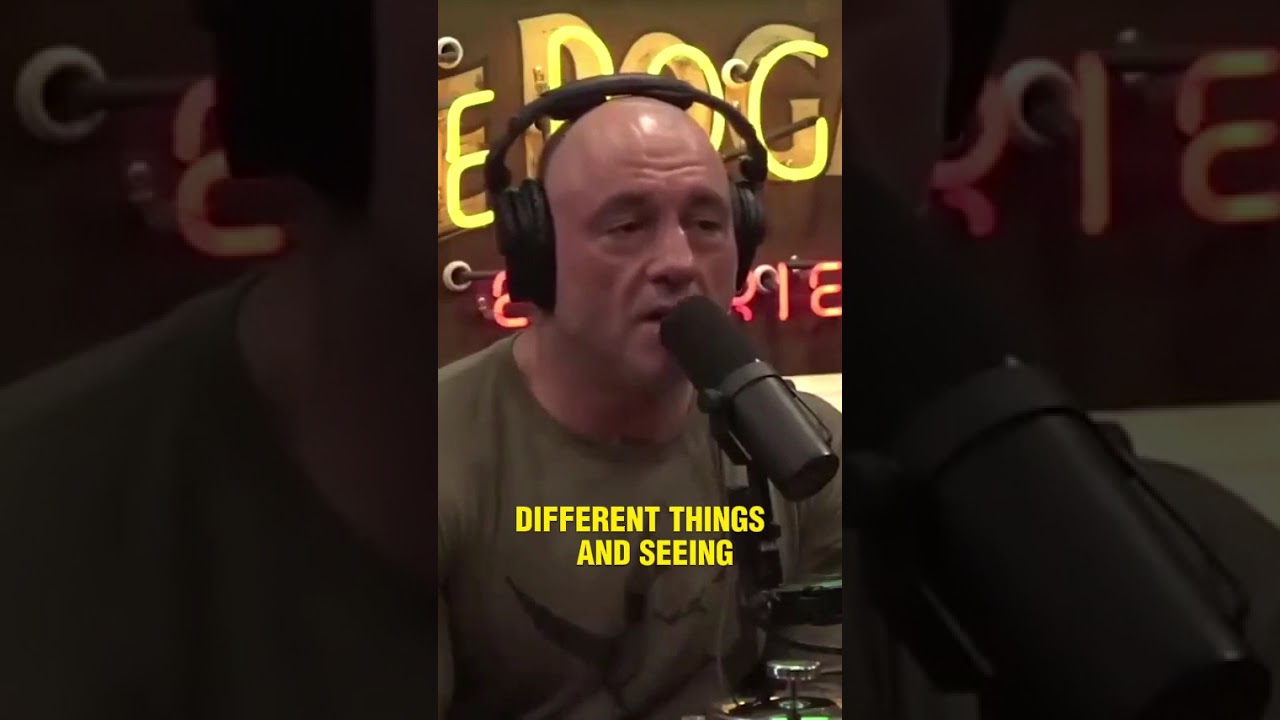 Joe Rogan Debates Matt Walsh on Choosing a Childfree Life
