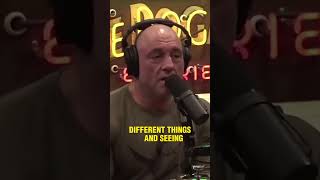 Joe Rogan Debates Matt Walsh On Choosing A Childfree Life