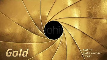 Camera Shutter 1 | Motion Graphics - Videohive template