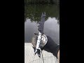 MAGNET FISHING AT LUIS PARK BY VERDUGOADVENTURES!