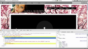 WordPress How To: Resize Header Logo & Manage Navigation Bar