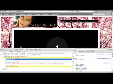 wordpress-how-to:-resize-header-logo-&-manage-navigation-bar