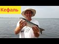 Джарылгач рыбалка на Черном море 2020
