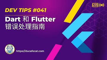 Dart 和 Flutter 错误处理指南 | 独立开发猫哥