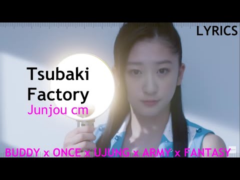 つばきファクトリー (Tsubaki Factory)『純情cm(センチメートル)』(Junjou cm) | 作詞 (Lyrics)
