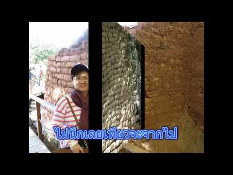 ชั่วคืนเดียว โดย วินัย จุลละบุษปะ