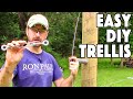 How To Build A Grape Vine Support Trellis. The MOST Popular Type.