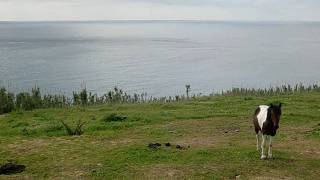 Ponta Garça, VILA FRANCA do CAMPO, 2011 - desordenamento urbanístico vai trazer destruição