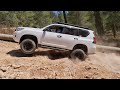 New Toyota Land Cruiser Prado 150 2021 Crazy Off road