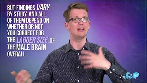 Are There "Male" and "Female" Brains?