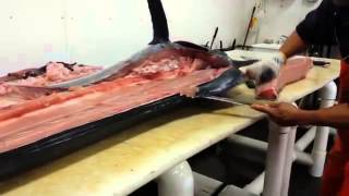 Suisan Fish Market - Cutting a Black Marlin 06.18.2014