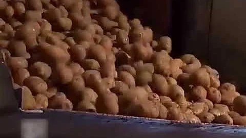 Como são feitas as batatas de pacote?