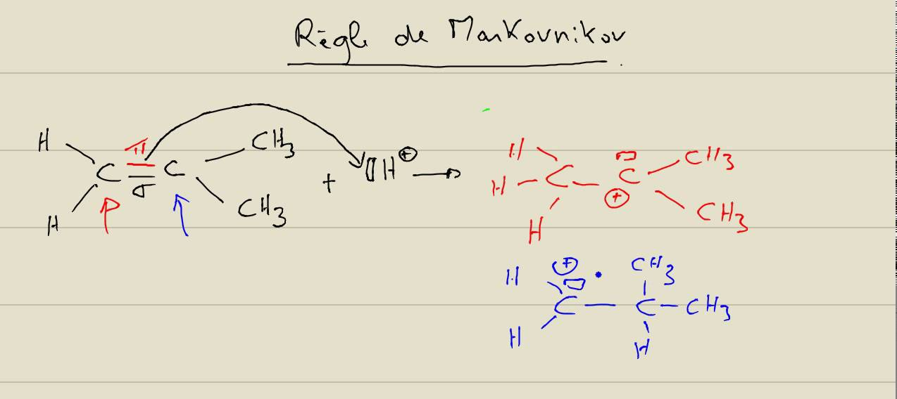Alcènes Règle de Markovnikov YouTube — free download