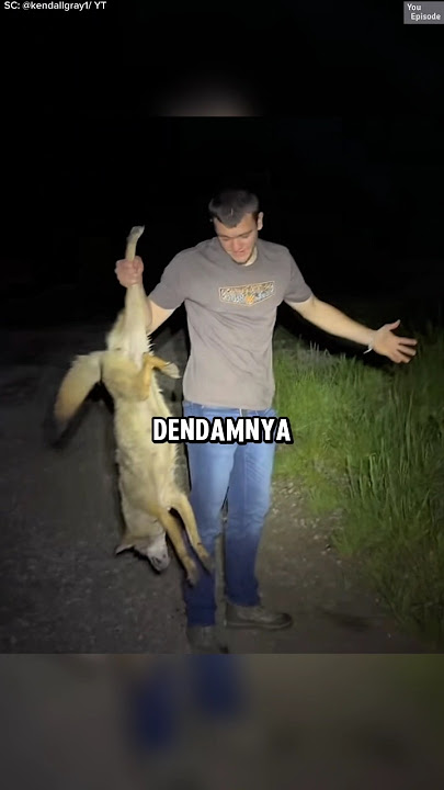 Balas Dendam Terbayar‼️(@KendallGray1) #balasdendam #videoviral