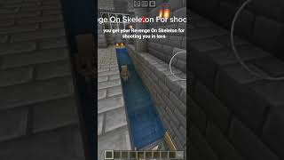 Skeleton Got Backfired For Not Letting Players Get Some Diamond