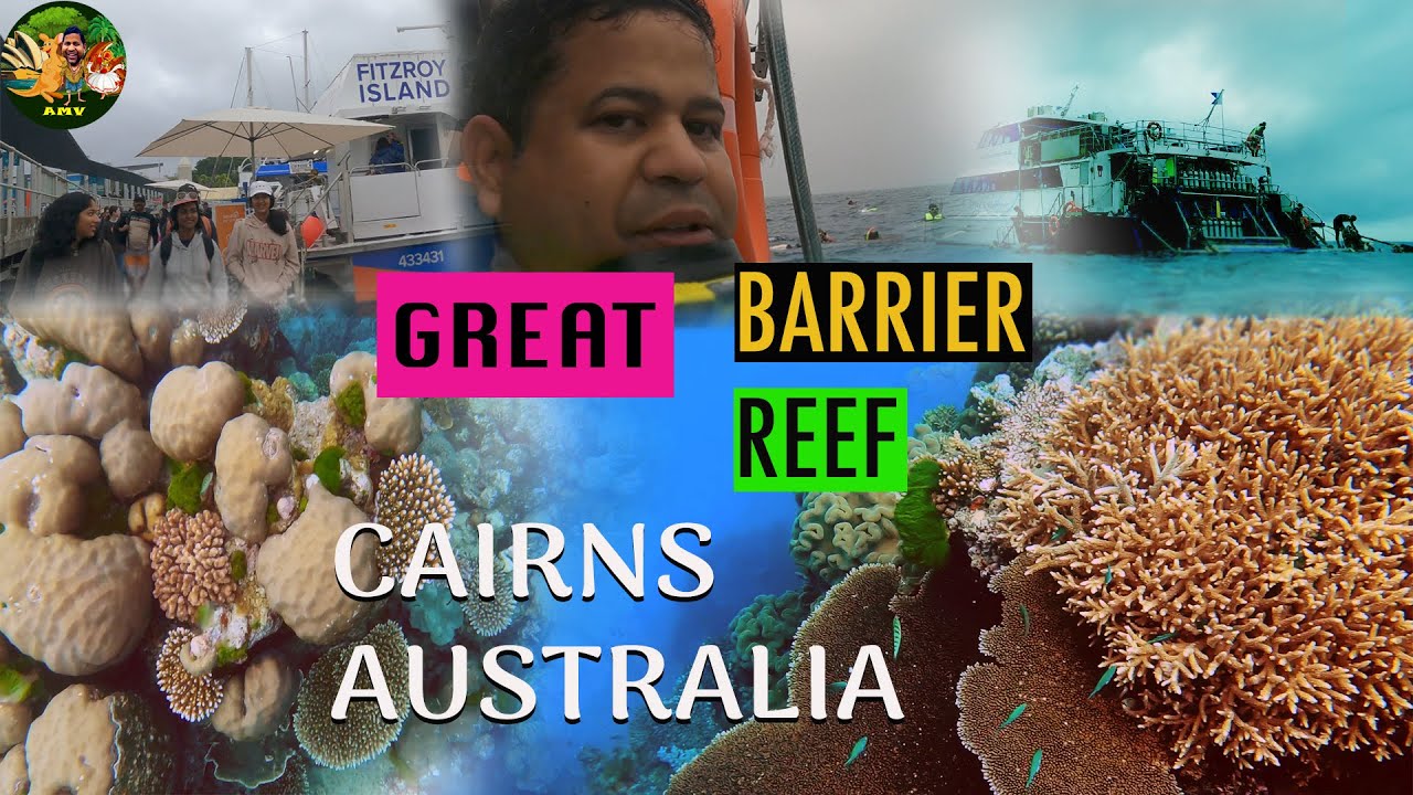 Australia | Great Barrier Reef | Road Trip To cairns Day 3 - YouTube