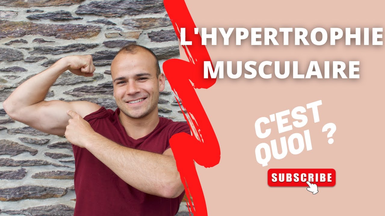 C'est quoi l'HYPERTROPHIE musculaire ? YouTube C'est quoi l'HYPERTROPHIE musculaire ? YouTube