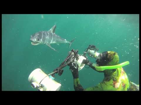 Mighty Mako and Brian Skerry