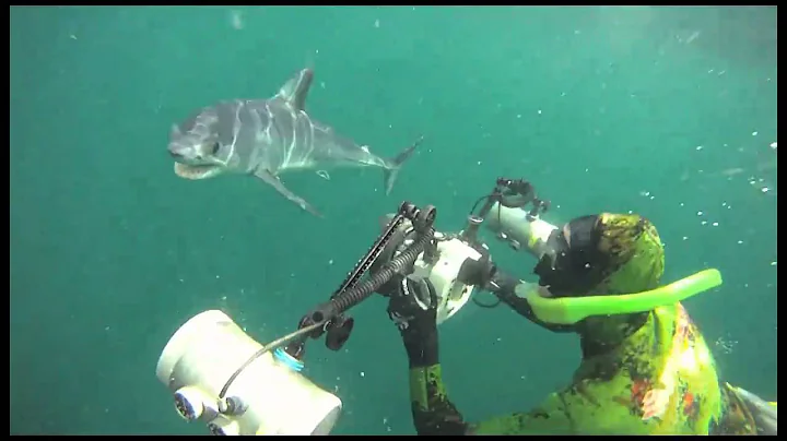 Mighty Mako and  Brian Skerry