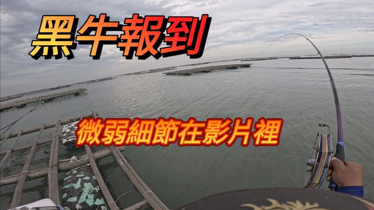 送釣友土魠，果然就幸運釣到今年第一隻黑牛
