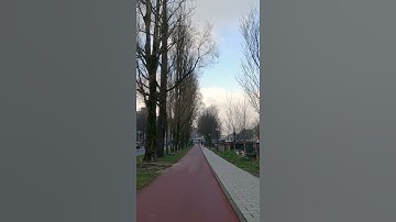 A Quick Intro to Dutch Bike Paths #shorts