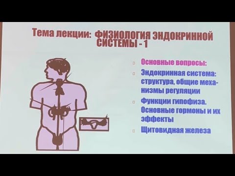 Часть 1. •Эндокринная система. •Функции гипофиза.Основные гормоны и их эффекты. •Щитовидная железа