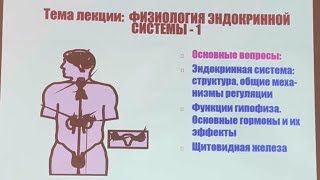 Часть 1. •Эндокринная система. •Функции гипофиза.Основные гормоны и их эффекты. •Щитовидная железа