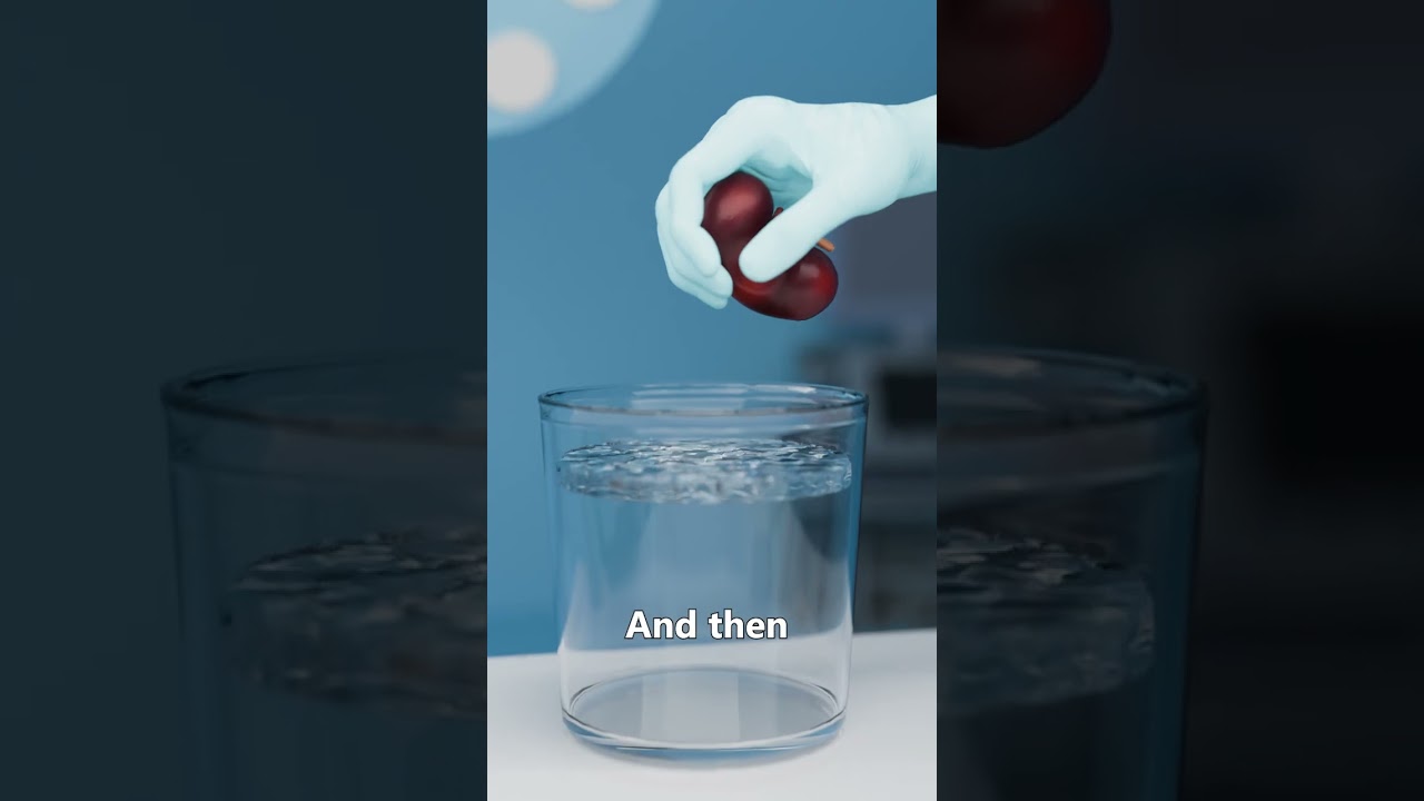 Organ Snatcher — 3D Animated Short | AM Animations