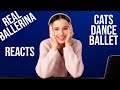 Even CATS DANCE BALLET - Ballerina REACTs to VIRAL ballet TIK TOKs - dance REACTION