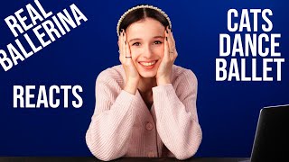 Even CATS DANCE BALLET - Ballerina REACTs to VIRAL ballet TIK TOKs - dance REACTION
DONATE if you want https://buy.stripe.com/8wMdRc3ar83B4Fi8wx
Some funny videos where you can feel the difference between ballerinas - girls and ballerinas - cats. Or it was a boy?
https://mariakhoreva.com
https://instagram.com/marachok
https://youtube.com/mariakhoreva
https://en.wikipedia.org/wiki/Maria_Khoreva
https://www.mariinsky.ru/en/company/ballet/soloists/first_soloists/dancers1/khoreva1
Pointe shoes and ballet shoes from the wonderful Bloch.
These videos would not have been possible without the great company Nike, whose clothes and sneakers I do all my workouts in.
https://www.nike.com/
https://www.youtube.com/user/nike
https://www.instagram.com/nike/
https://www.facebook.com/nike Even CATS DANCE BALLET - Ballerina REACTs to VIRAL ballet TIK TOKs - dance REACTION